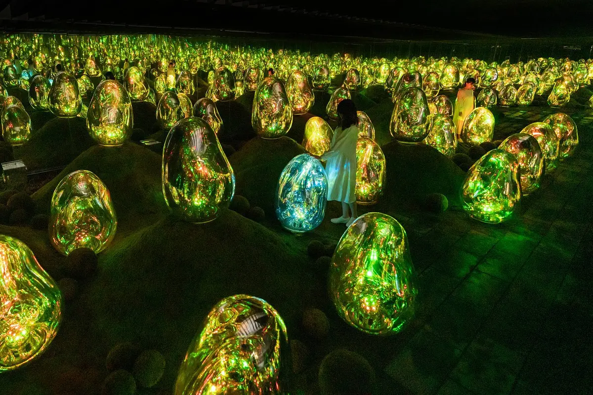 Breathtaking Digital Interactive Installations | Basa Studio
