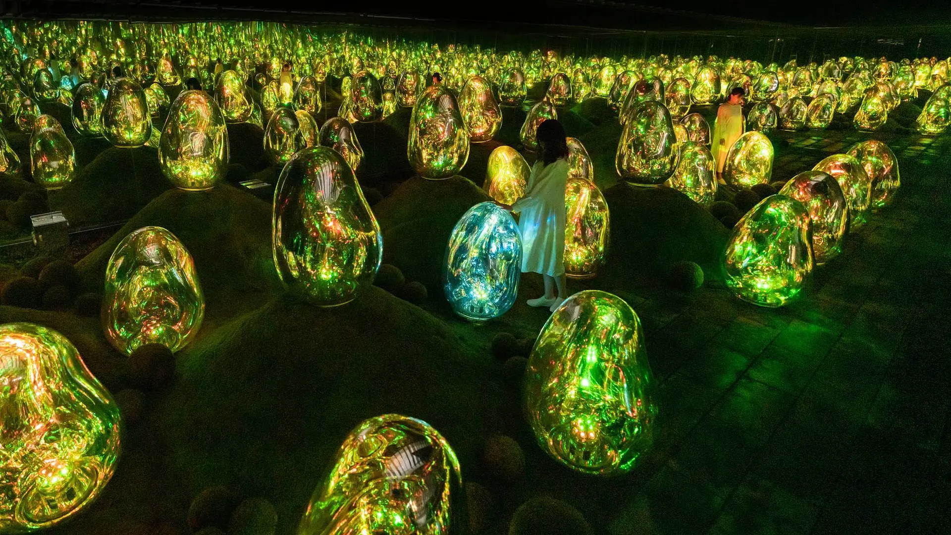 Breathtaking Digital Interactive Installations