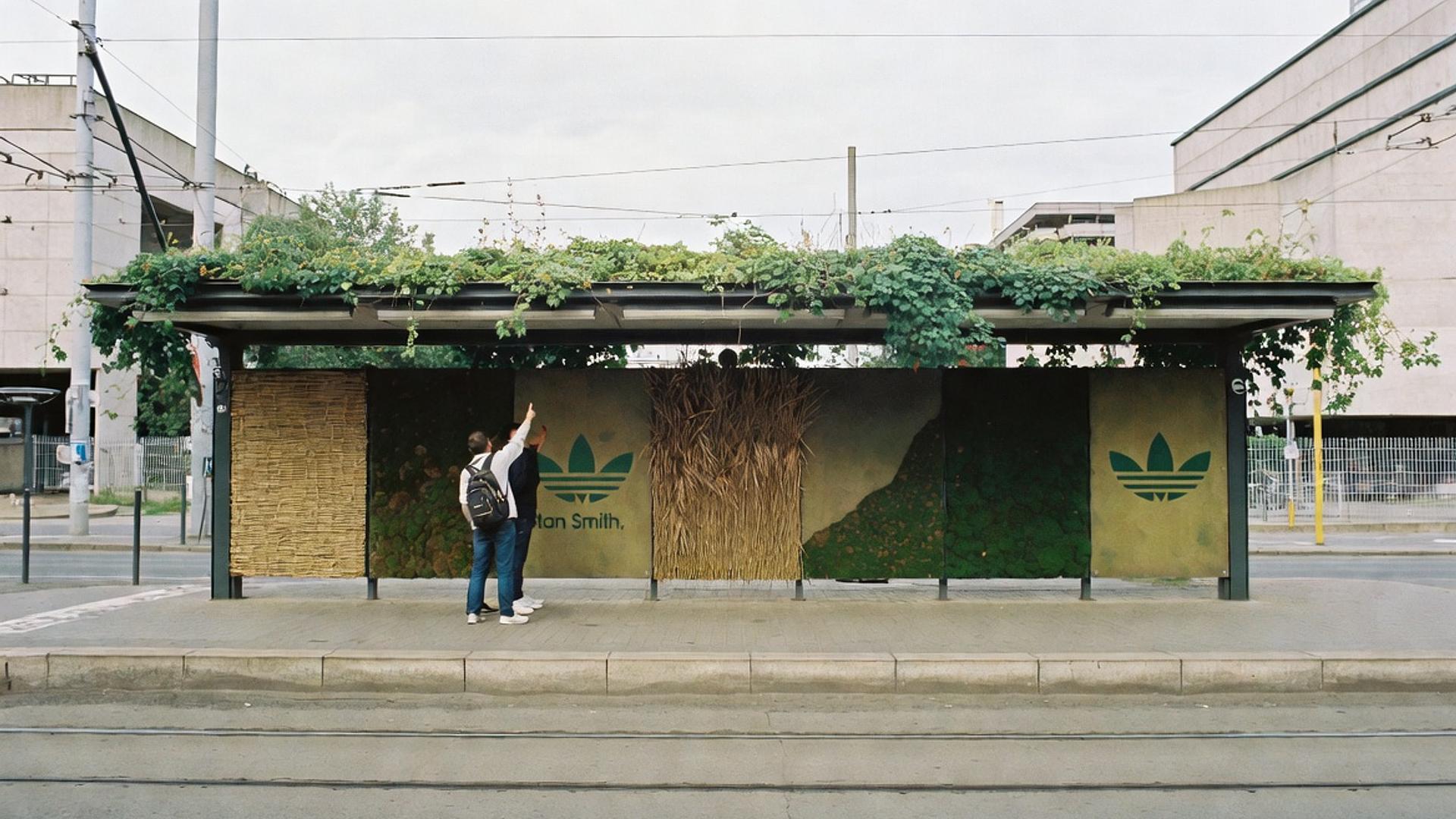 Graffiti with moss: the sustainable way to advertise